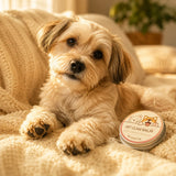 PawCalm Balm — Soothing Paw Moisturizer